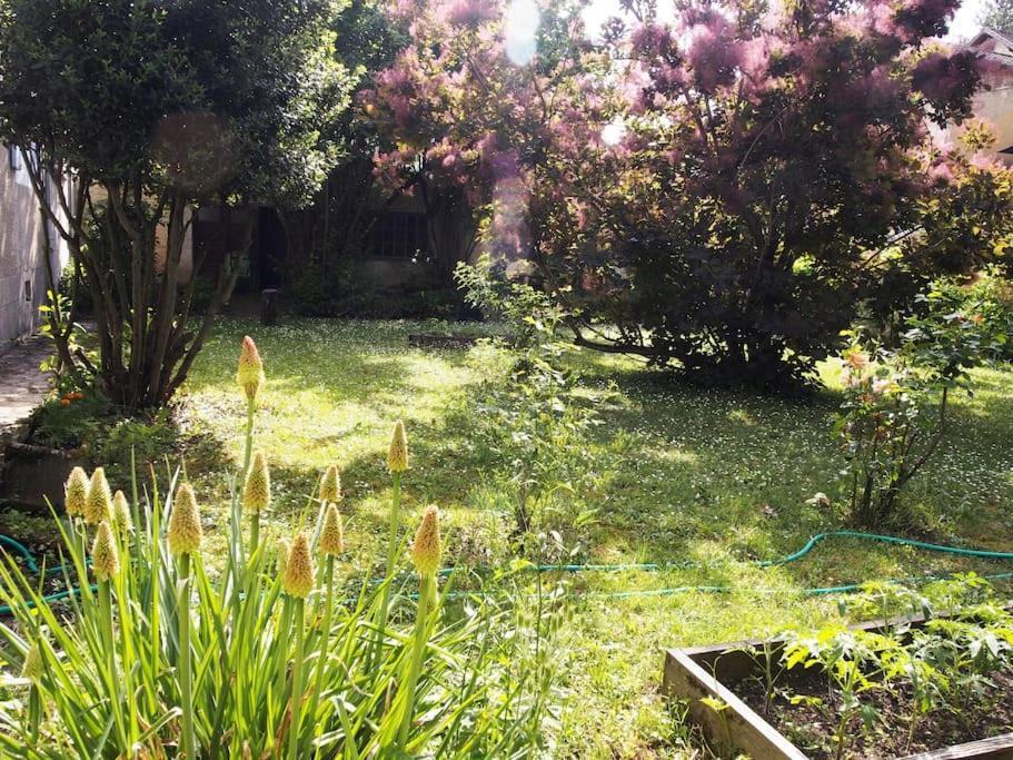 Bed and Breakfast Le 7 Des Tonneliers Castelfranc Экстерьер фото